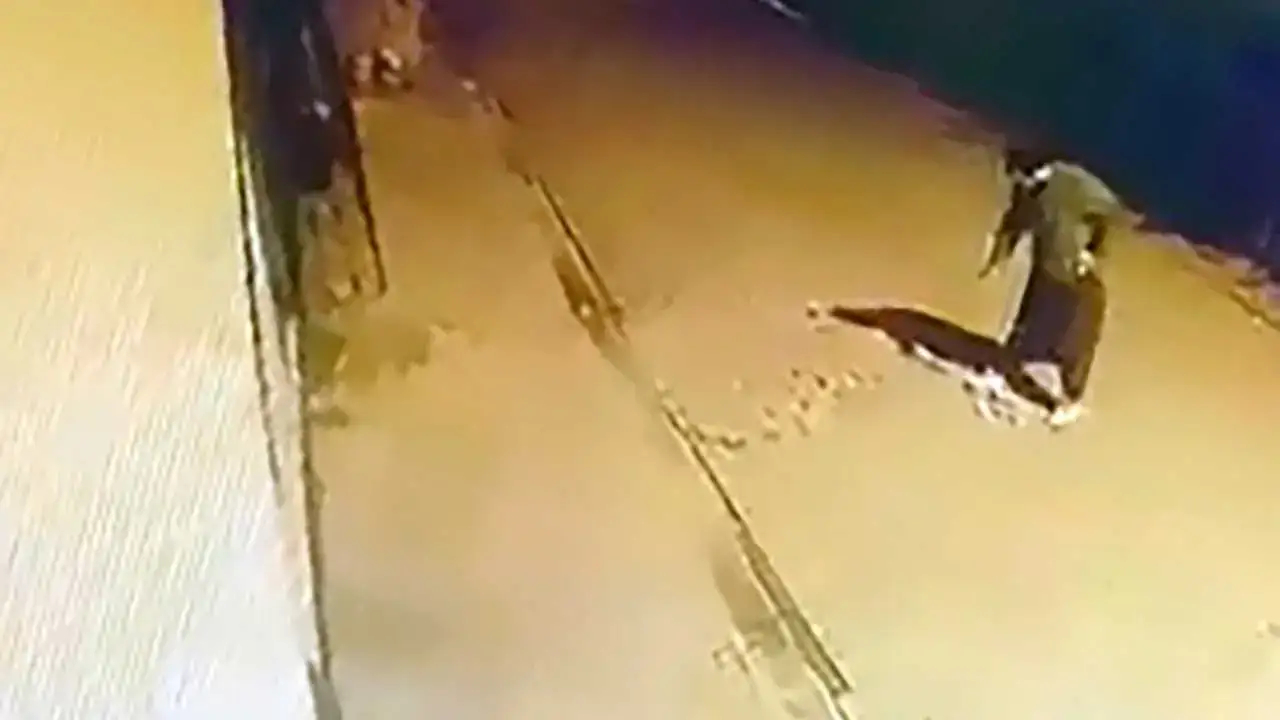 Adana’da Bir Haftada Birden Fazla Eve Taşlı Saldırı İddiası! 3